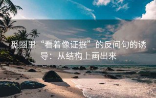 觅圈里“看着像证据”的反问句的诱导：从结构上画出来