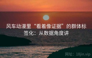 风车动漫里“看着像证据”的群体标签化：从数据角度讲