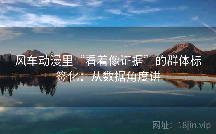 风车动漫里“看着像证据”的群体标签化：从数据角度讲