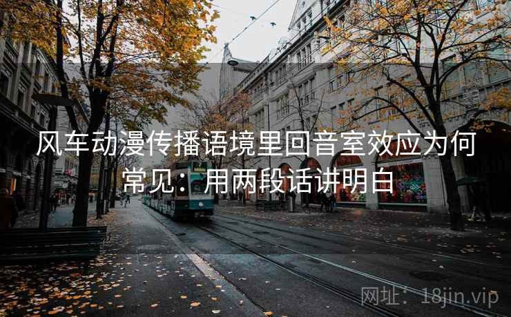 风车动漫传播语境里回音室效应为何常见：用两段话讲明白